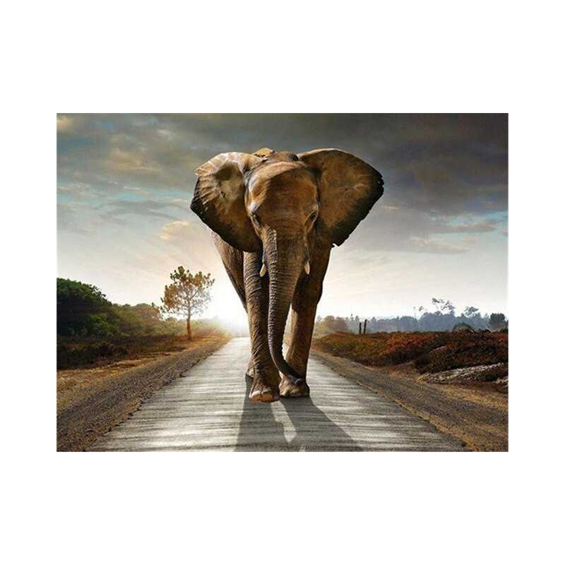 Olifant-olifant onderweg - Vanaf 20,28 €
