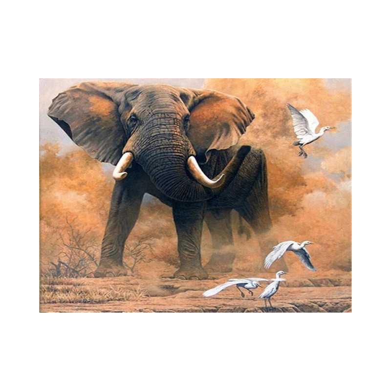 Olifant-olifant en vogels - Vanaf 20,28 €
