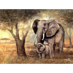 Olifant-olifant en olifanto- Vanaf 20,28 €