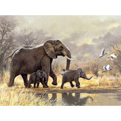 Olifantenfamilie olifanten - Vanaf 20,28 €