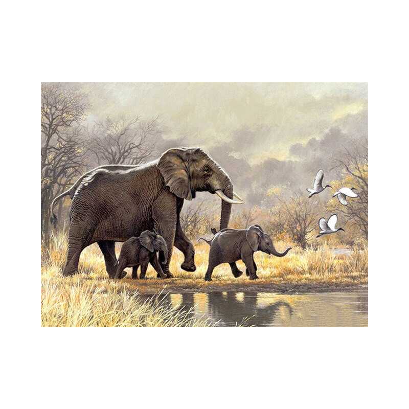 Olifantenfamilie olifanten - Vanaf 20,28 €