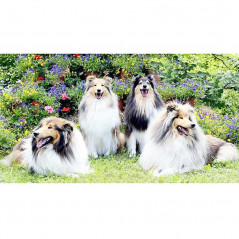 Dogs & Wolves - 4 honden in de bloemen - Vanaf € 39,48