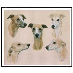 Dogs & Wolves-5 whippets- Vanaf € 15,59