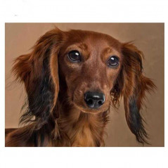 3D Teckel Honden & Wolven-Puppies - Vanaf 15,59 €