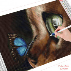 Bruine vlinderkat met kattenneus - Vanaf 20,28 €