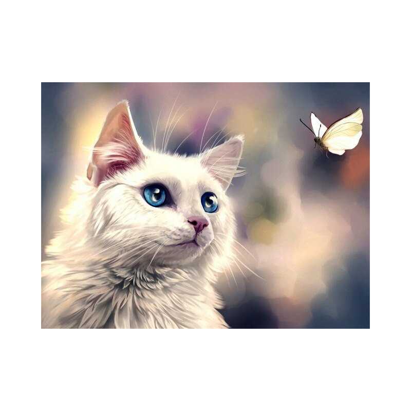 Witte vlinder katten-kat - Vanaf 20,28 €