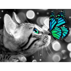 Kat-kat-grijze vlinder blauw- Vanaf 20,28 €