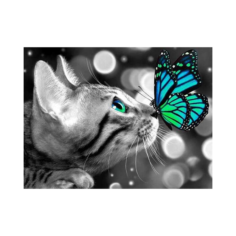 Kat-kat-grijze vlinder blauw- Vanaf 20,28 €