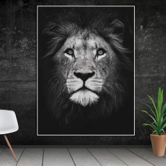 Lions & Tigers-Lion zwart en wit 5D- Vanaf 43,08 €