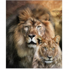 Lions & Tigers - 2 leeuwen in de savanne - Vanaf 15,59 €