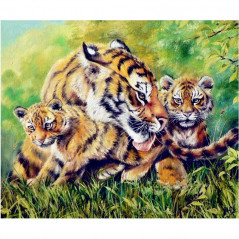 Lions & Tigers-Tiger Family - Vanaf 15,59 €