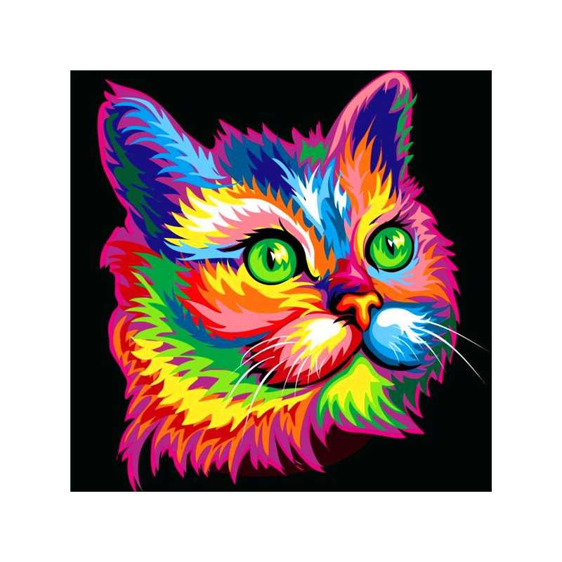 Katten-Kleurrijke spinnende kat- Vanaf 21,59 €