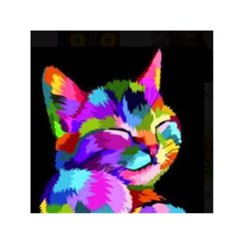 Katten-Kleurrijke klokkat- Vanaf 21,59 €