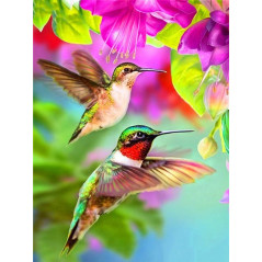 Vogels-paar kolibries Thorondor- Vanaf 20,28 €