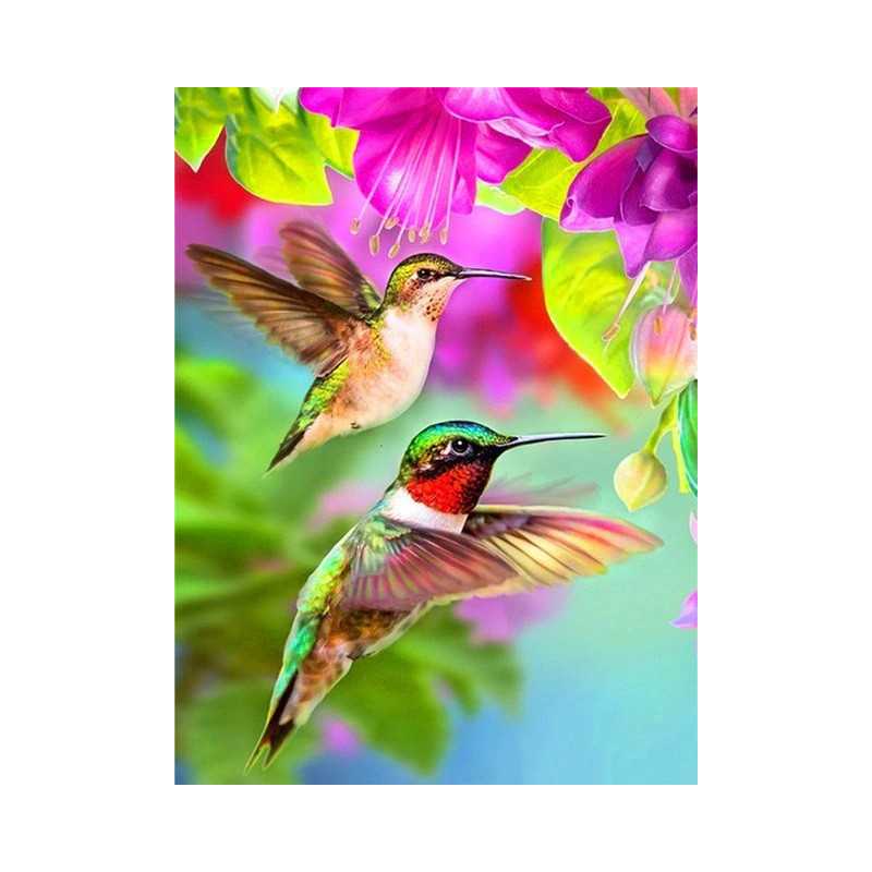 Vogels-paar kolibries Thorondor- Vanaf 20,28 €