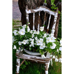 Bloemen-Bloemen Milena op een stoel- Vanaf 20,28 €