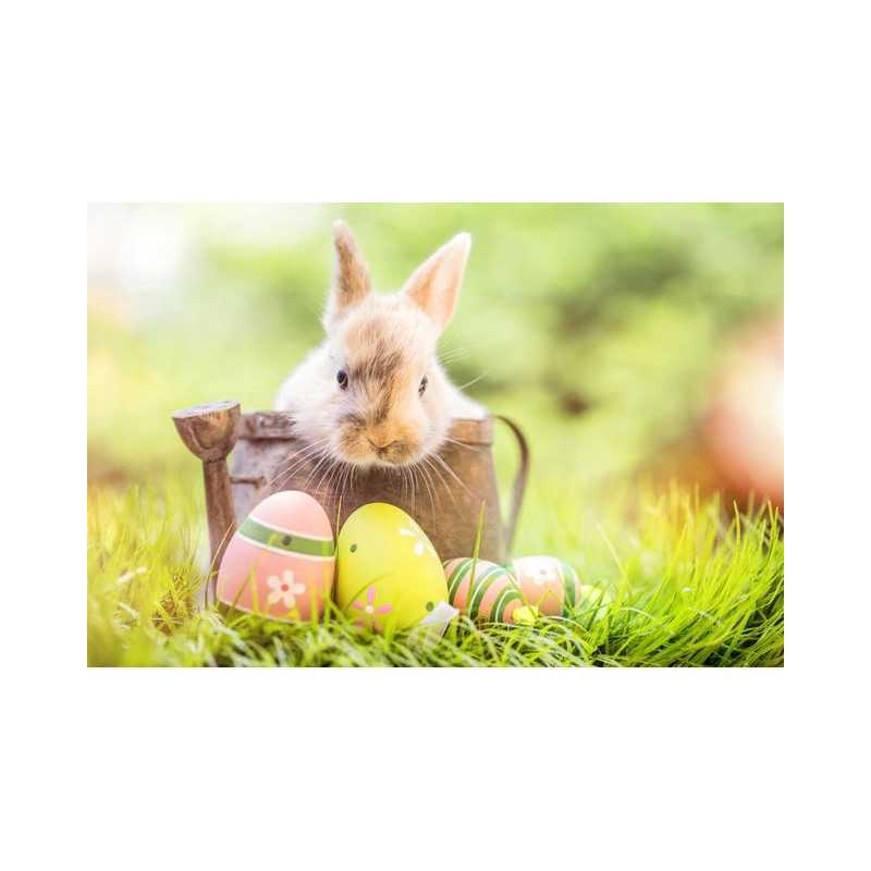 Easter-Abby Easter Eggs - Vanaf € 20,28