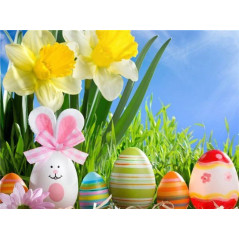 Easter-Athena Easter Eggs - Vanaf 20,28 €