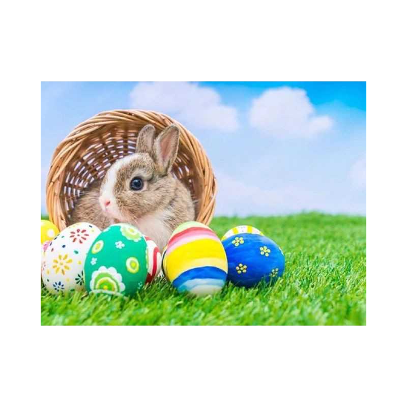Easter-Easter Eggs Aninka- Vanaf 20,28 €