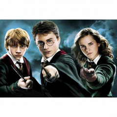 Harry Potter-Harry Potter 5D met vrienden - Vanaf € 21,48