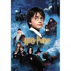 Harry Potter-Harry Potter 5D met zijn vrienden filmposter - Vanaf $ 21,48