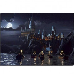 Harry Potter-Harry Potter 5D Night Castle- Vanaf € 21,48
