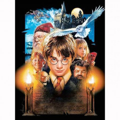 Harry Potter-Harry Potter 5D Friends - Vanaf € 21,48