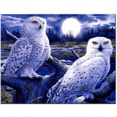 Birds-Owls 3D- Vanaf 25,08 €