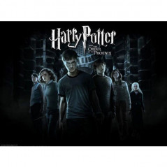 Harry Potter-Harry Potter 5D Friends in the Dark - Vanaf € 21,48