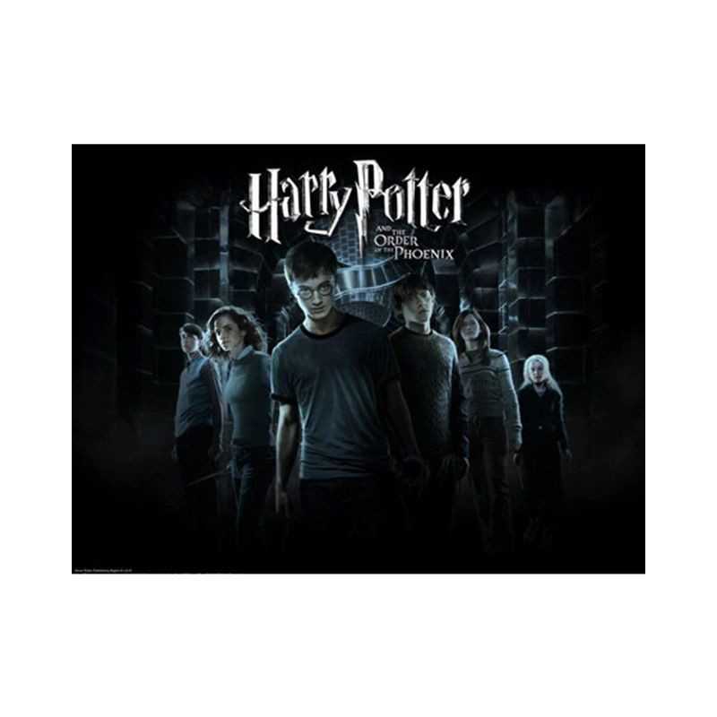 Harry Potter-Harry Potter 5D Friends in the Dark - Vanaf € 21,48