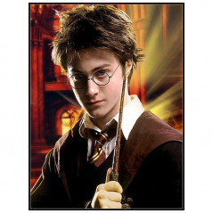 Harry Potter-Harry Potter De tovenaar en die toverstaf - Vanaf € 21,48