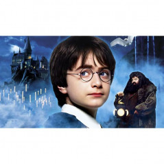 Harry Potter-Harry Potter The Magician In The Cloud - Vanaf € 21,48