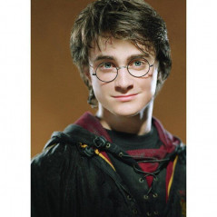 Harry Potter-Harry Potter The Magician Portrait - Vanaf 21,48 €