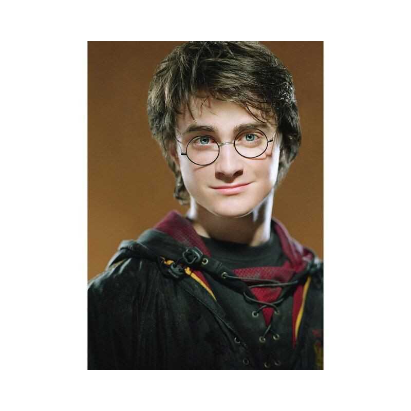 Harry Potter-Harry Potter The Magician Portrait - Vanaf 21,48 €