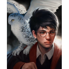 Harry Potter-Harry Potter The Magician Drawing - Vanaf 21,48 €