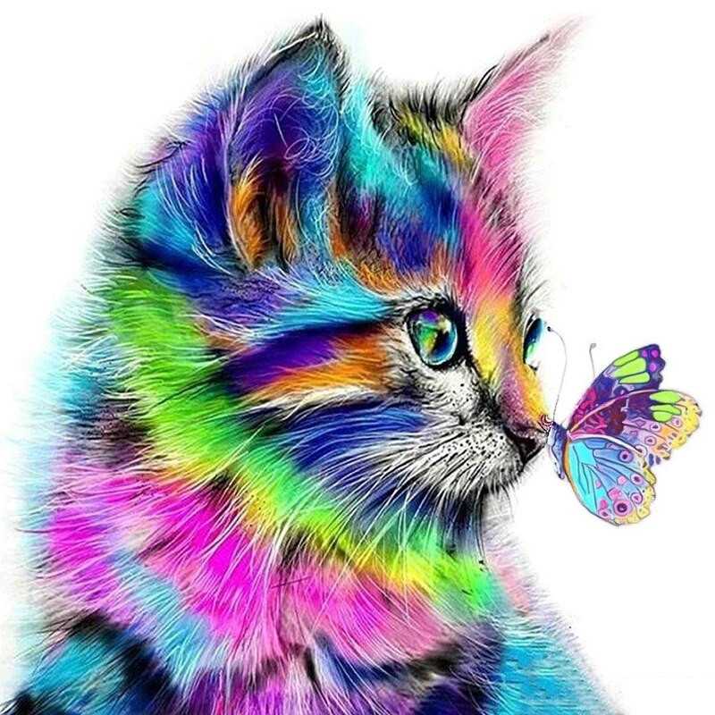 Cats-Rainbow Cat- Vanaf 15,59 €