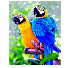 Vogels-kleurrijke papegaai- Vanaf 25,08 €