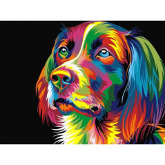 Honden en wolven - kleurrijke honden - vanaf 20,28 €