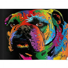Dogs & Wolves - Kleurrijke Bulldog - Vanaf 20,28 €