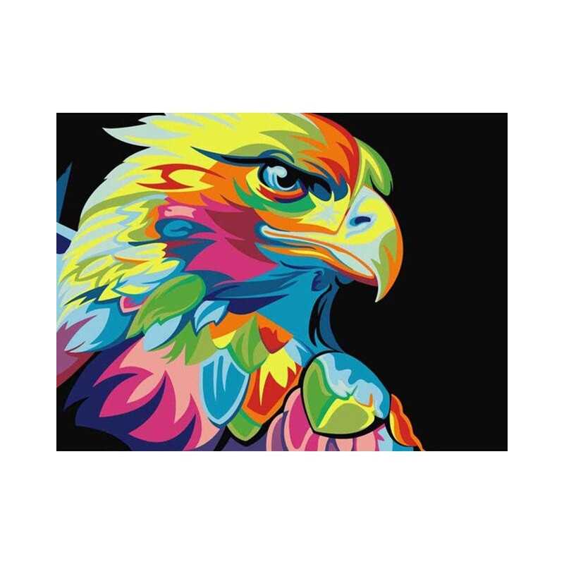 Birds-Colourful Falcon- Vanaf 20,28 €