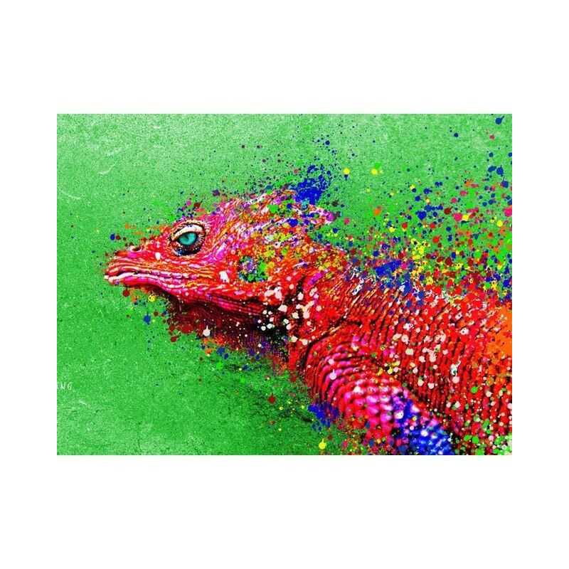 Chameleons-Chameleon 3D Series C- Vanaf 20,28 €