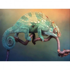 Chameleons-Chameleon 3D-serie D- Vanaf 20,28 €