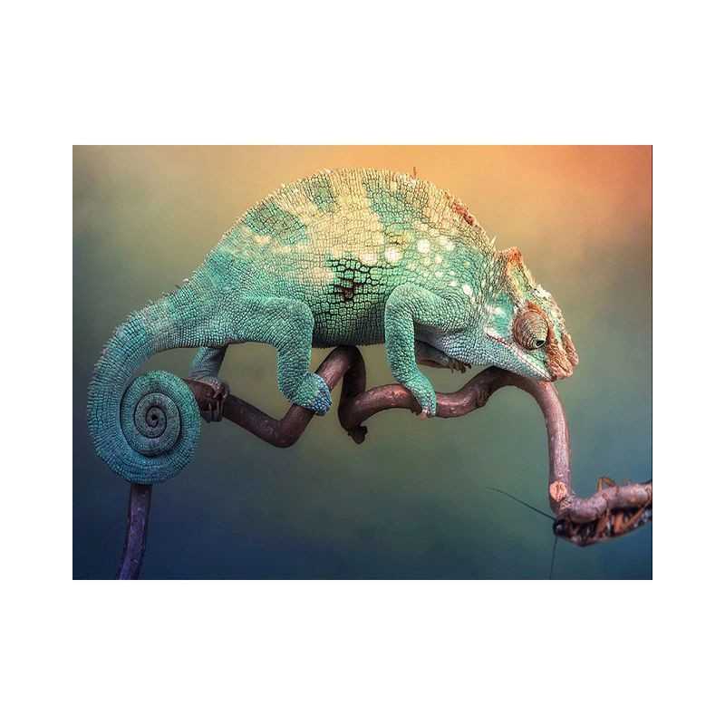 Chameleons-Chameleon 3D-serie D- Vanaf 20,28 €