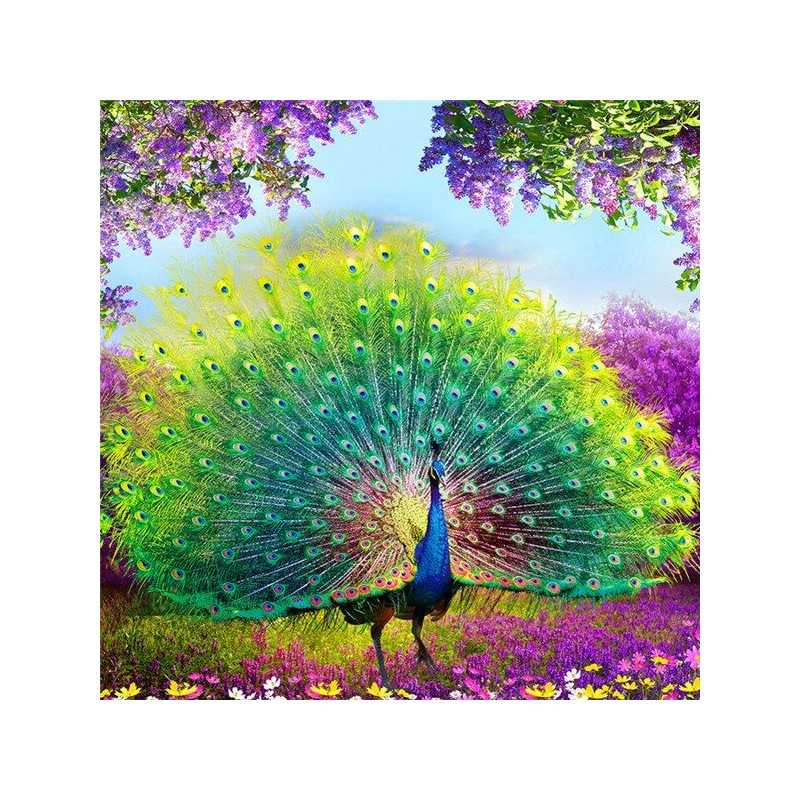 Peacocks-Peacock Series P- Vanaf € 21,59