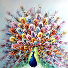 Peacocks-Peacock Series R- Vanaf € 21,59