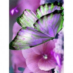 Vlinders-bloemen en vlinder 3D kleur H- Vanaf 16,90 €