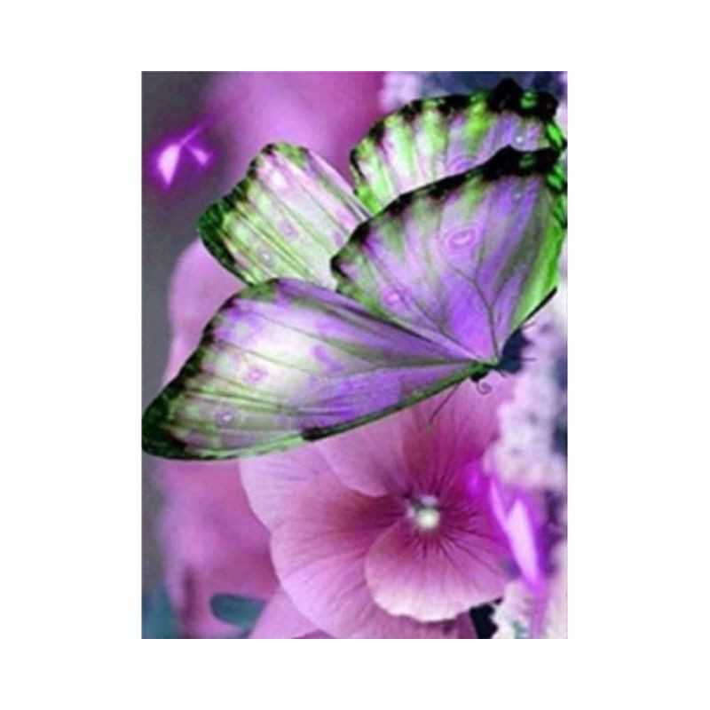 Vlinders-bloemen en vlinder 3D kleur H- Vanaf 16,90 €
