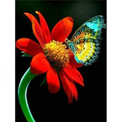 Vlinders-bloemen en vlinder 3D kleur N- Vanaf 16,90 €