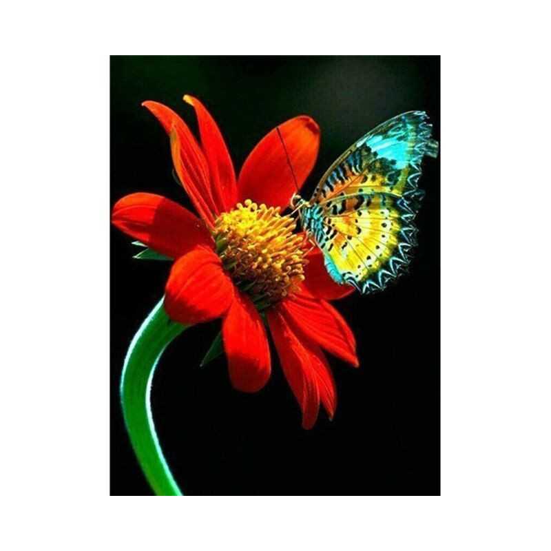 Vlinders-bloemen en vlinder 3D kleur N- Vanaf 16,90 €