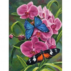 Vlinders-bloemen en vlinder 3D kleur O- Vanaf 16,90 €